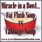 Miracle in a Bowl ... Fat Flush Soup vs. Cabbage Soup @ www.LoveHomeandHealth.com