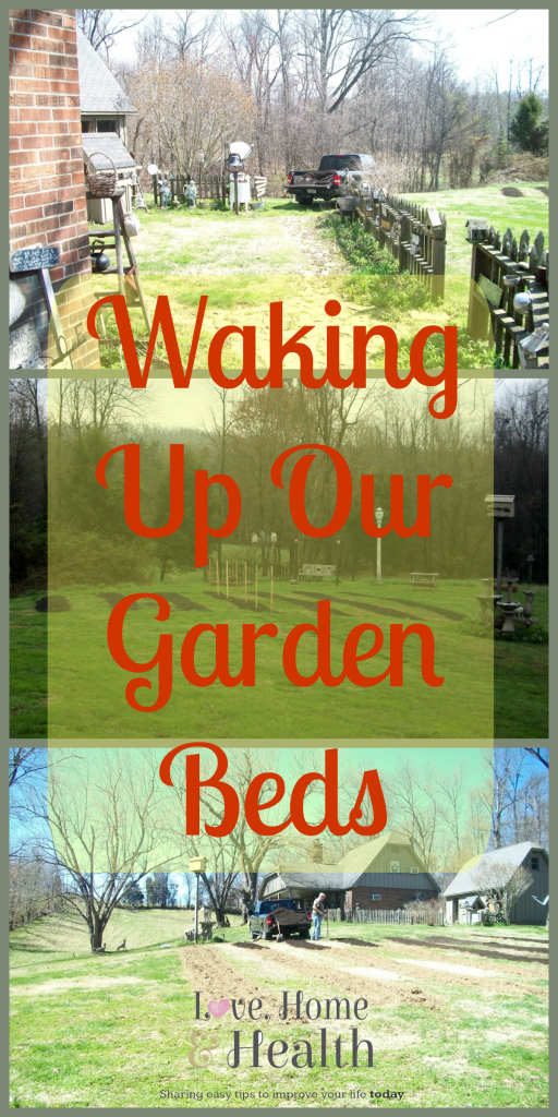 Waking-Up-Our-Garden-Beds