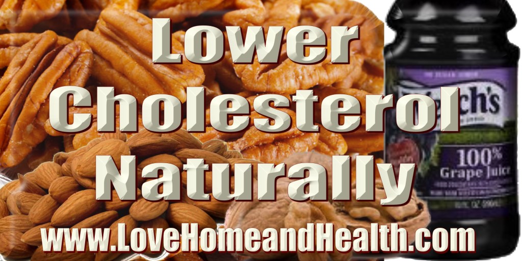 What are some low-cholesterol snack foods?