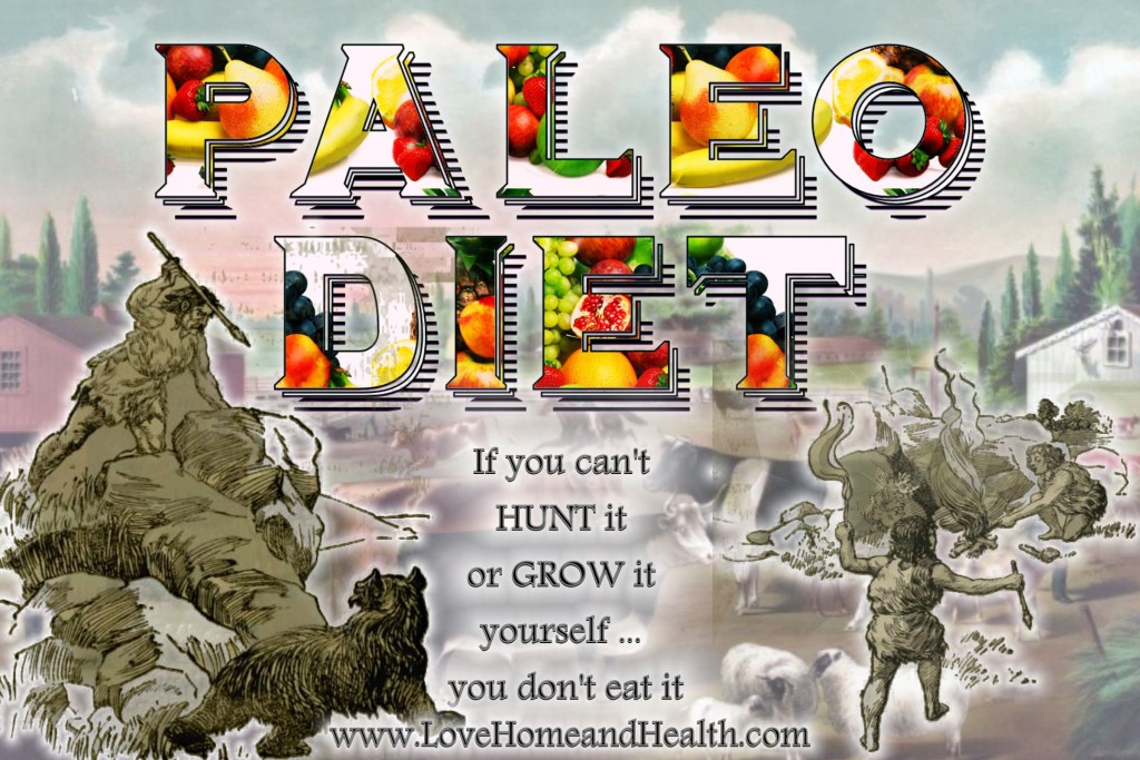 What is the Paleo Diet @ www.LoveHomeandHealth.com