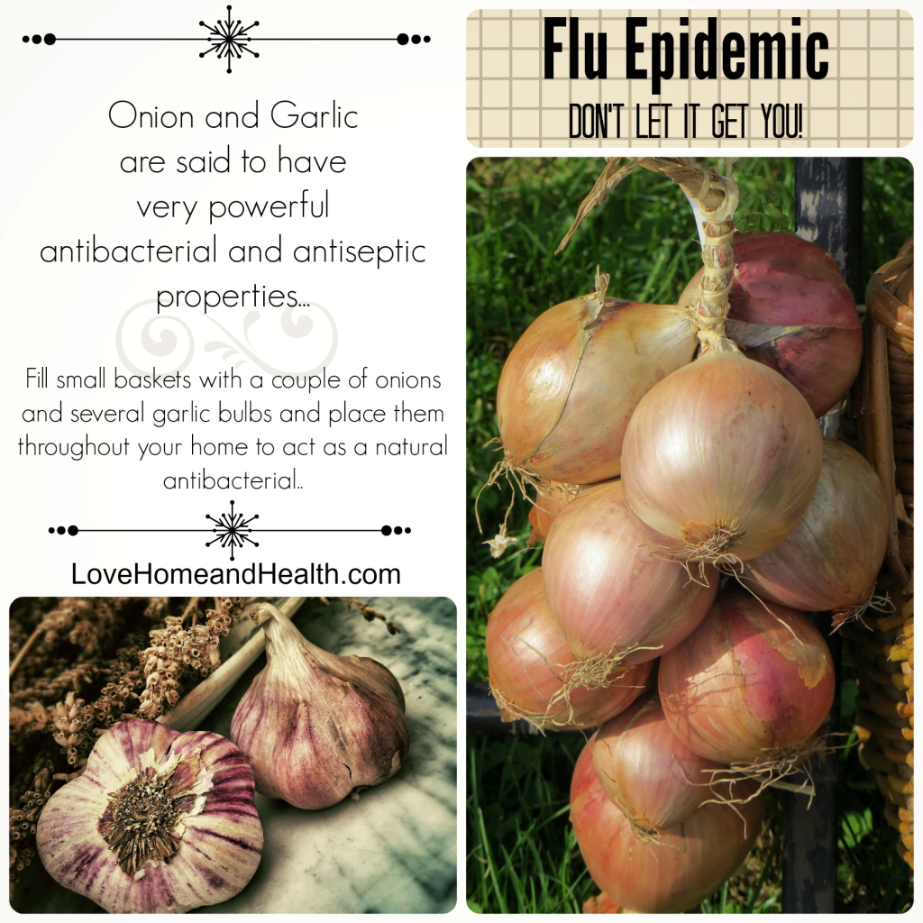 Onion and Garlic Flu Remedies @ Love, Home and Health