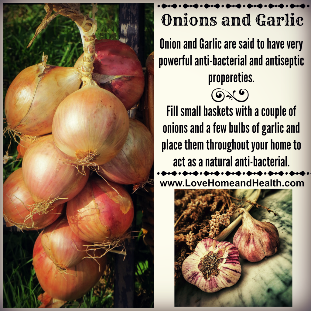 Onions and Garlic for Flu Prevention @ www.LoveHomeandHealth.com