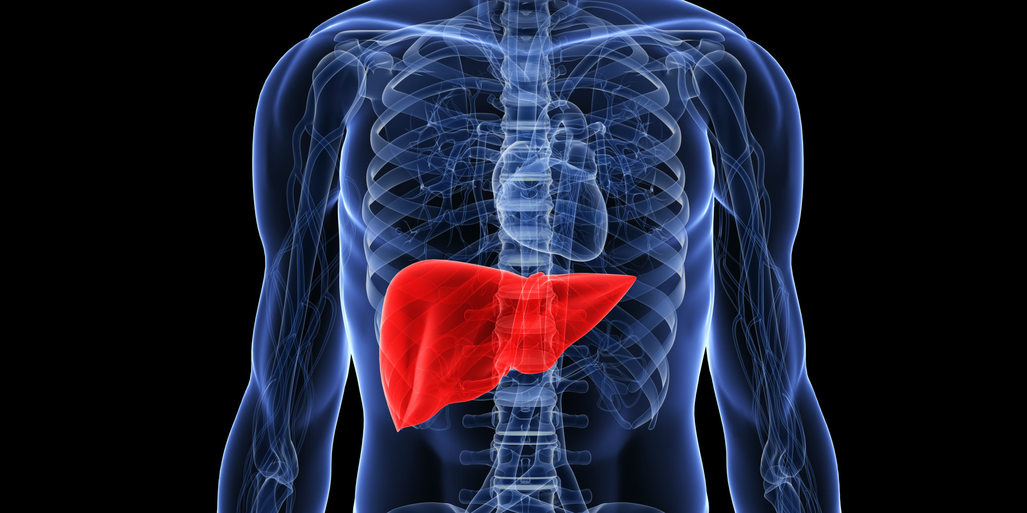 How To Have a Healthy Liver
