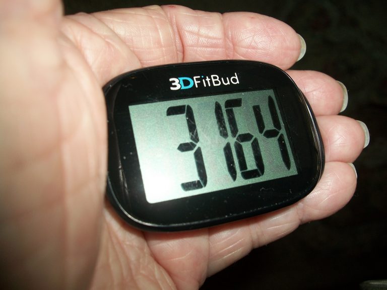 sony step counter
