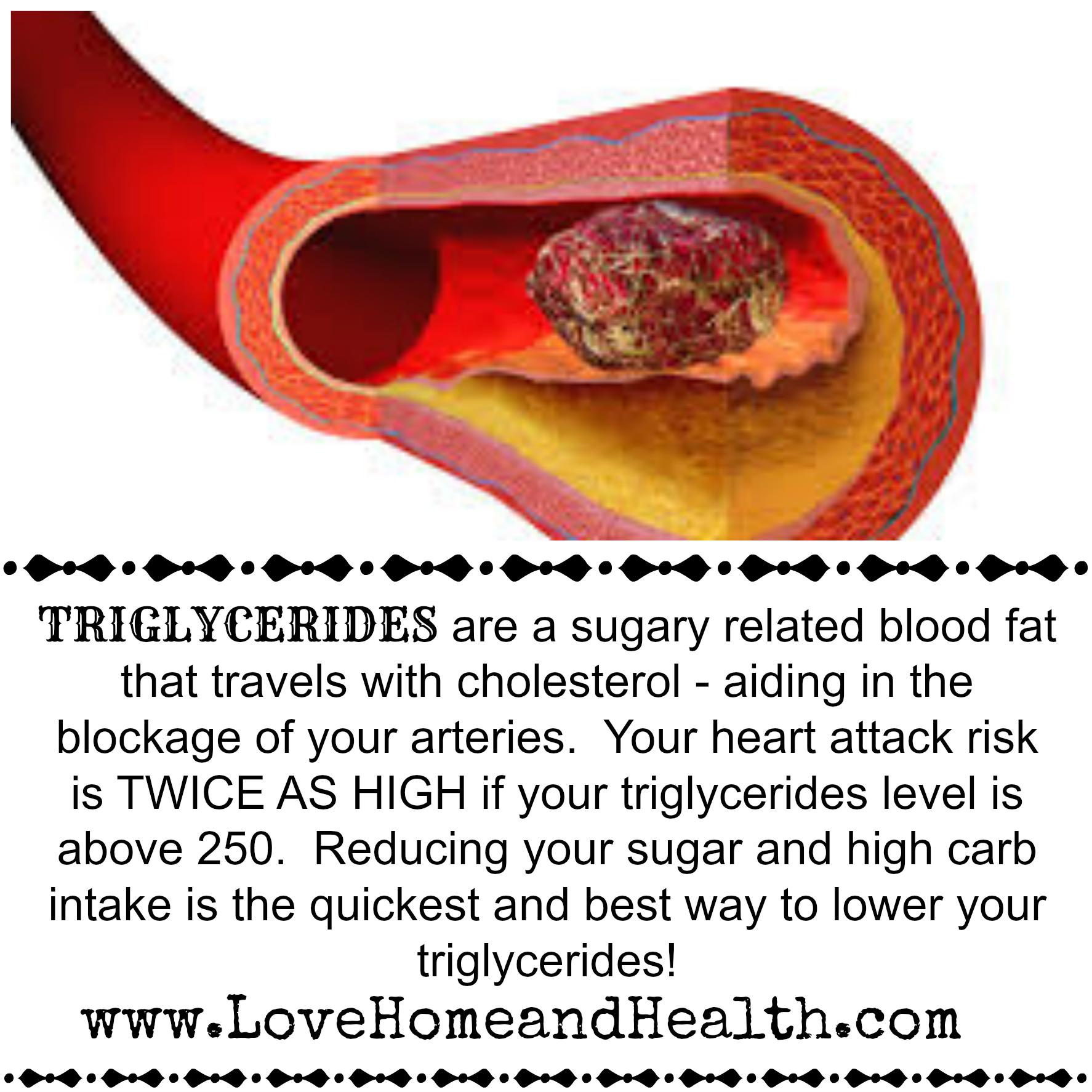 Blood cholesterols how to reduce triglycerides in blood cholesterol