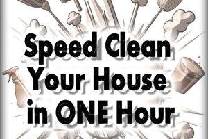 Speed Clean Your House in One Hour - www.LoveHomeandHealth.com