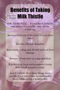 Benefits of Milk Thistle
