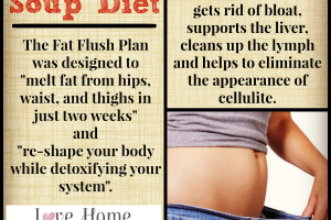 "Fat Flush Soup Diet - love, home and health"