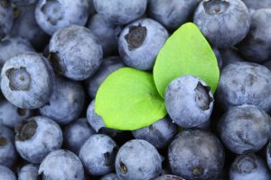 The Magic of Blueberries – A True Superfood